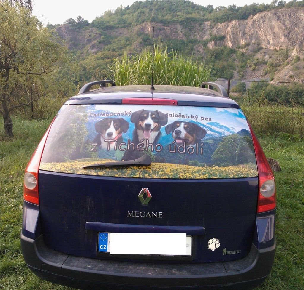 Stínící samolepka na okno auta